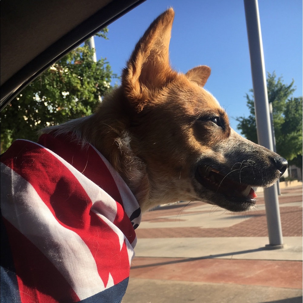 Meet your Posher, Christina