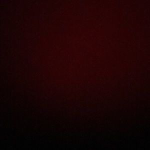 Meet your Posher, Rosa