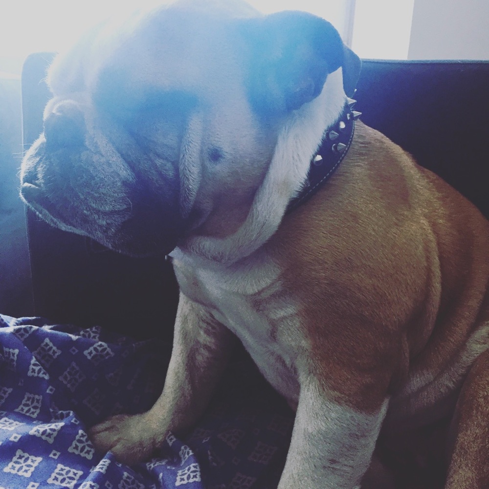 Meet your Posher, Ester