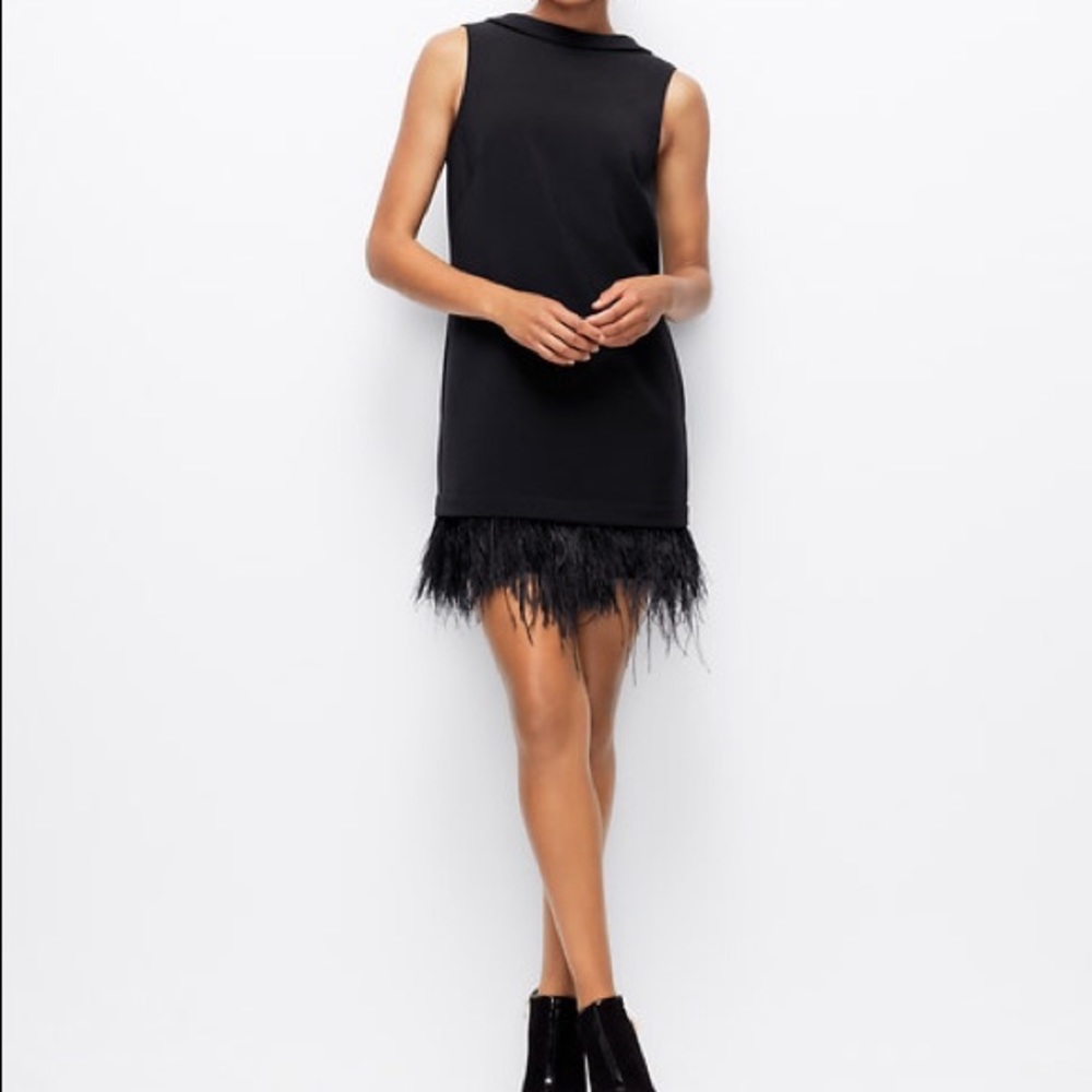 Ann Taylor feather black dress. NEW with tags