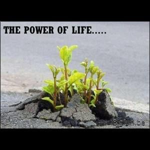 Meet your Posher, Halima