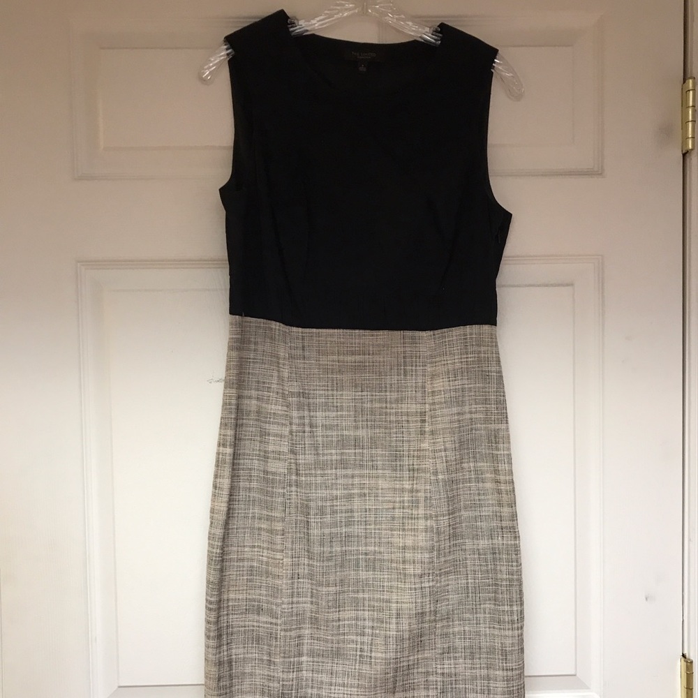 Brand New Dress - The Limited