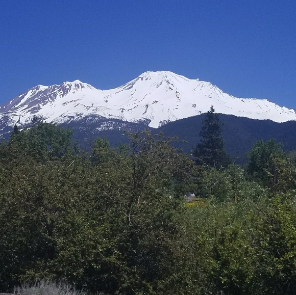 Meet your Posher, Marilyn - Picture 1 of 1