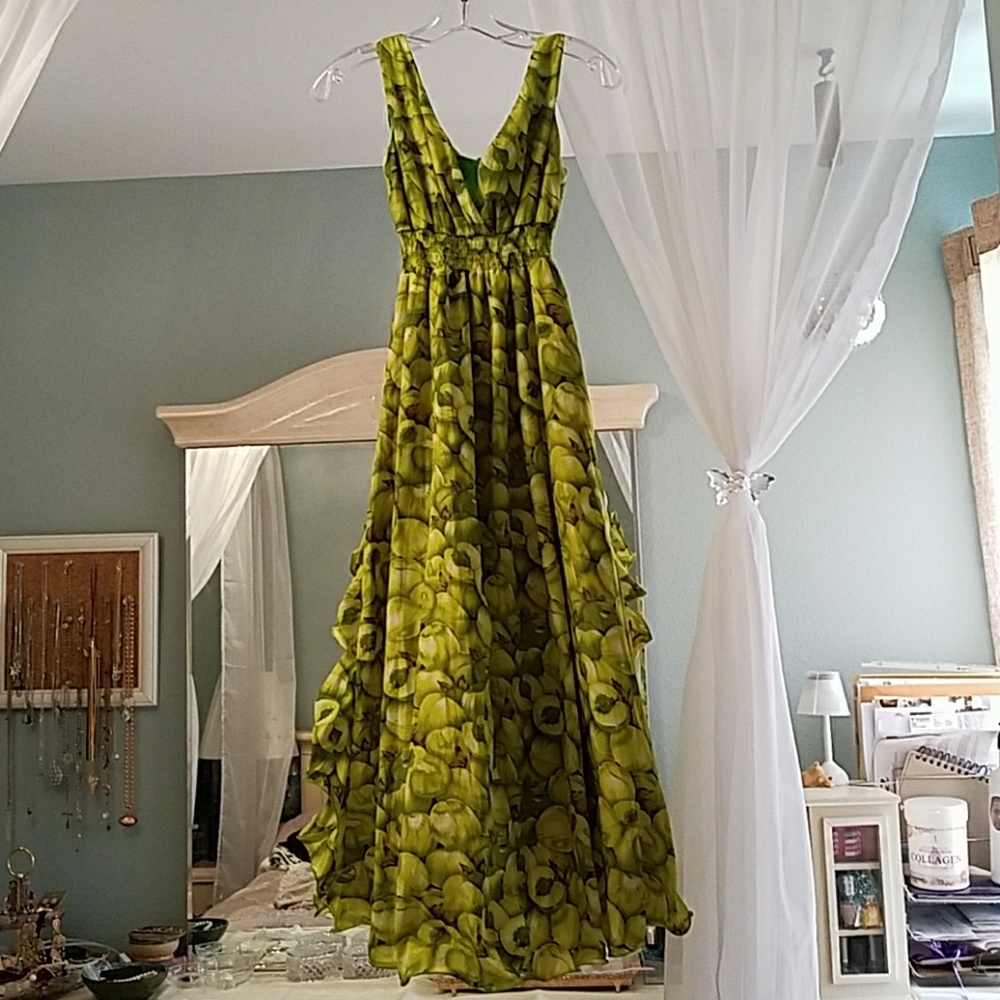NWOT Apple Print Chiffon maxi dress
