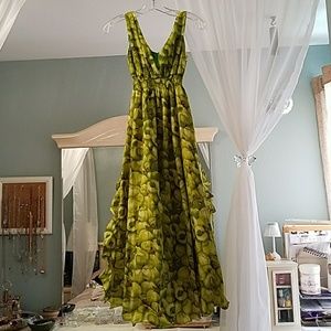 NWOT Apple Print Chiffon maxi dress