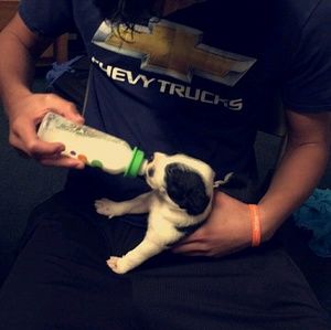 Meet your Posher, Nathan