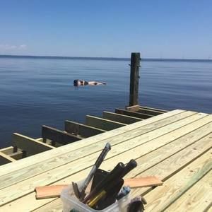 Meet your Posher, Molly