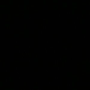 Meet your Posher, Dani