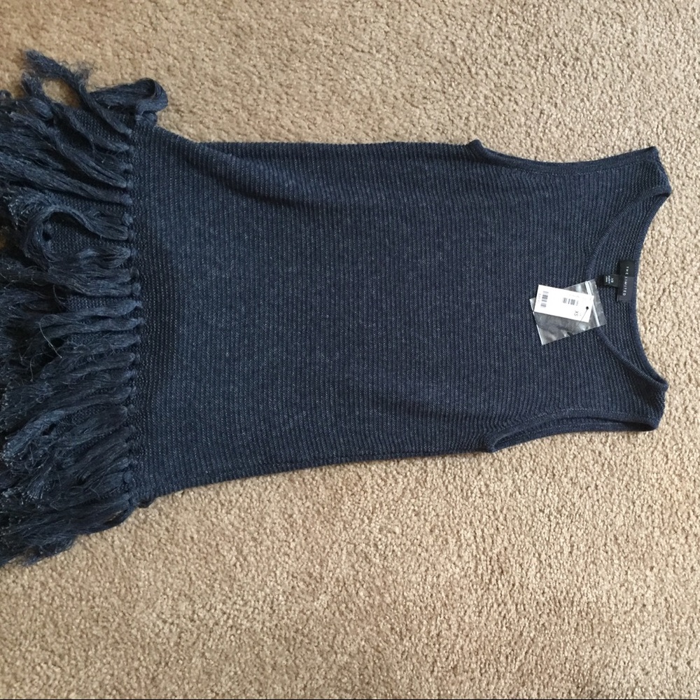 The Limited sleeveless blue fringe sweater.