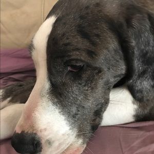 Meet your Posher, Kaydence