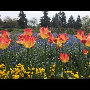 Meet your Posher, Mark