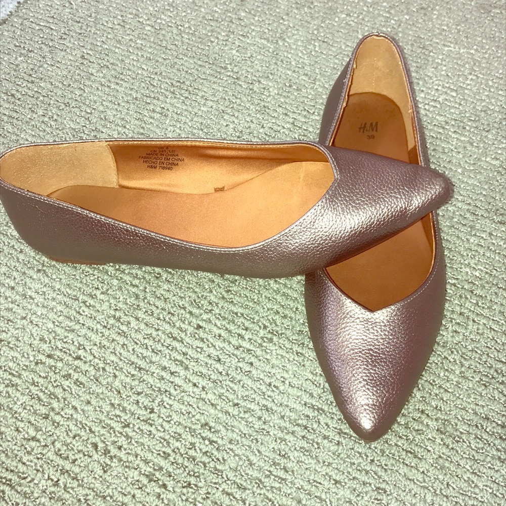 Pointed Toed Flats