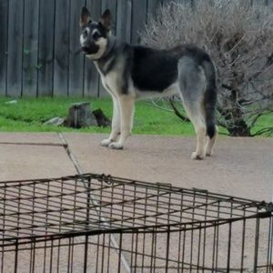 Meet your Posher, Adrian