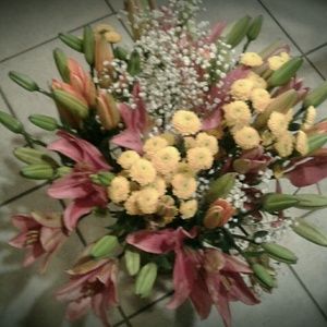 Meet your Posher, Veronica