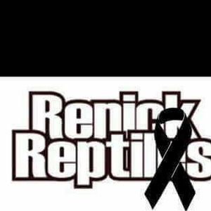 Meet your Posher, Tom