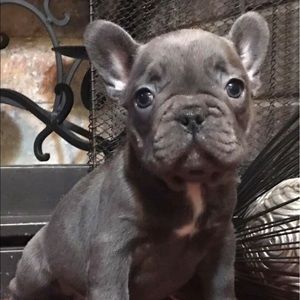 Meet your Posher, Jolene