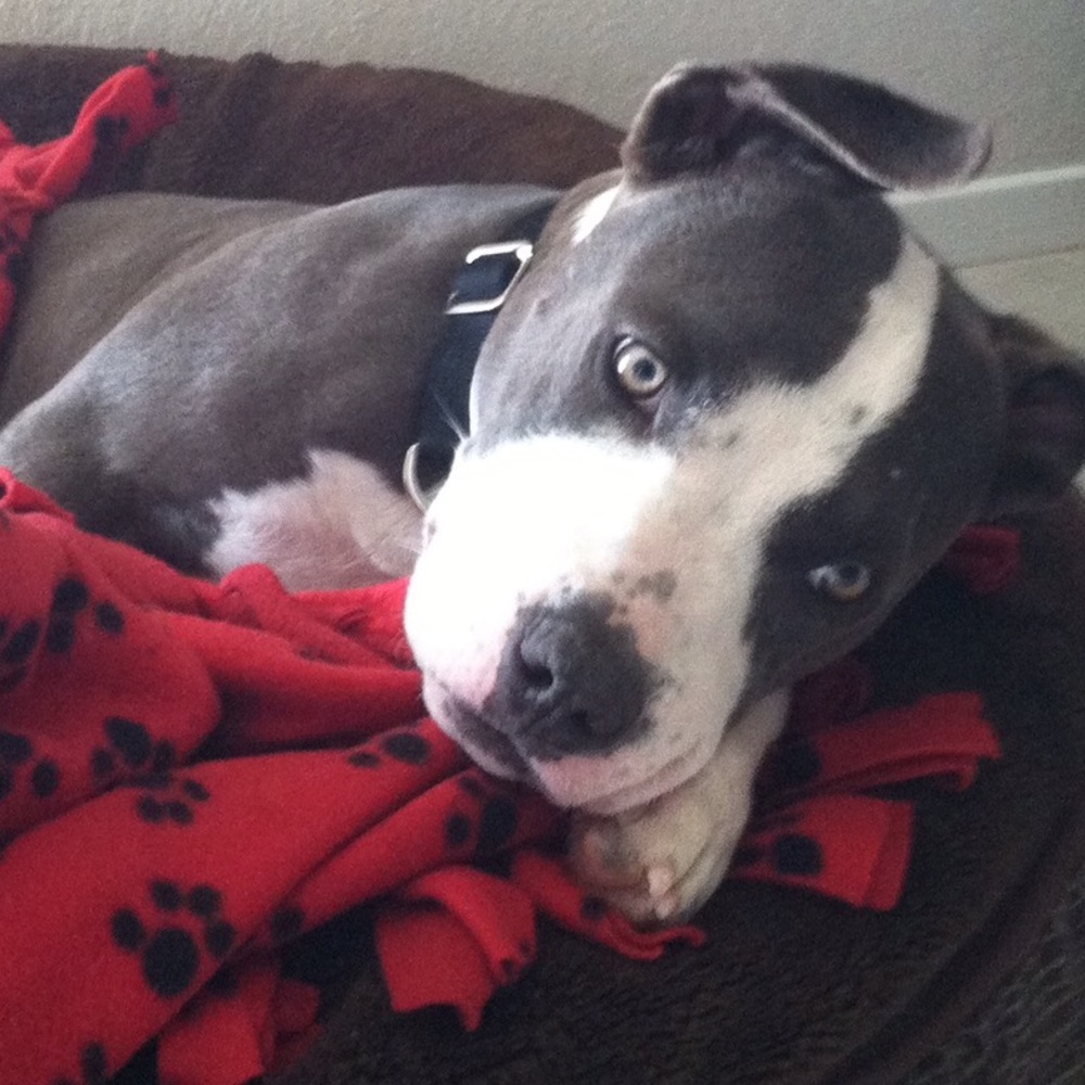 Meet your Posher, Dannelle