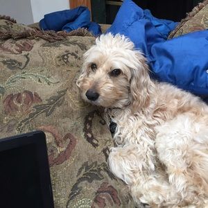 Meet your Posher, Beth