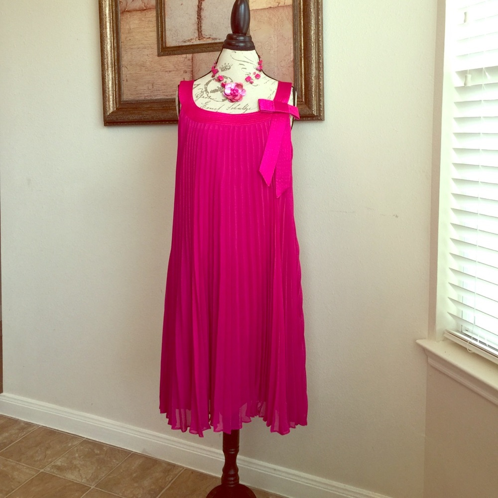 Signature By Robbie Bee Pink Accordion Dress 16W
