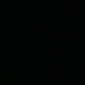 Meet your Posher, Ray