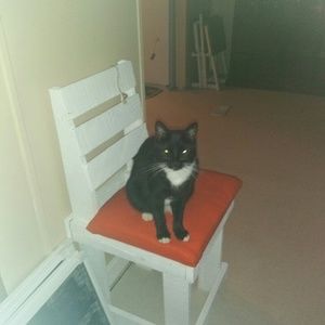 Meet your Posher, Janie