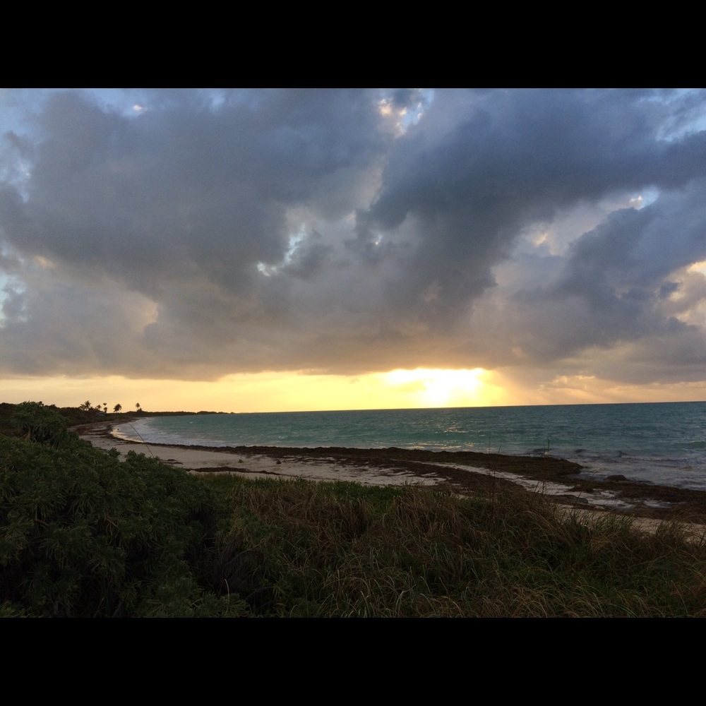 Meet your Posher, Liem