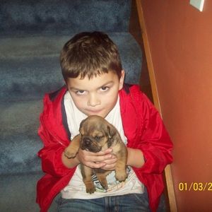 Meet your Posher, Mason