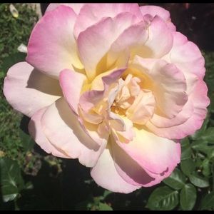 Meet your Posher, Meagan