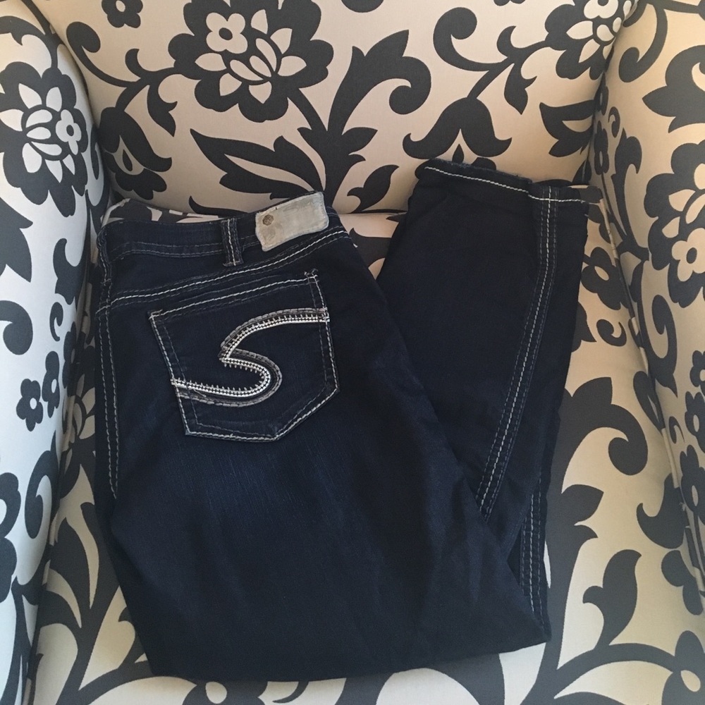 Silver Capris - image 1