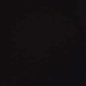 Meet your Posher, Sanjuana