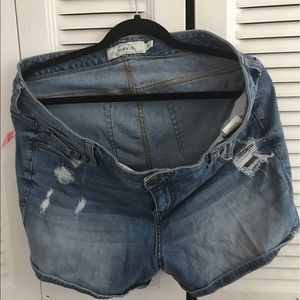 Torrid Distressed Jean Shorts