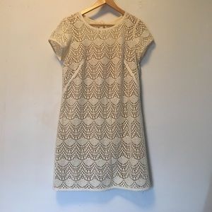 Loft Eyelet Shift Dress