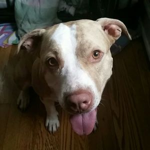 Meet your Posher, Barbara