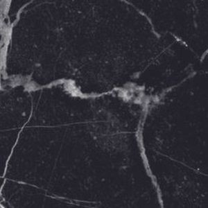 Meet your Posher, Kayleigh