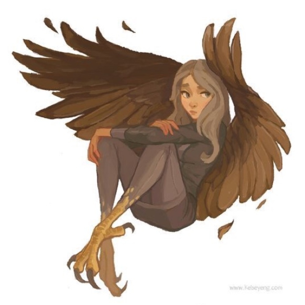 Meet your Posher, Caden