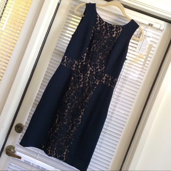 the limited the limited navy dress w lace detail from the limited the limited navy dress w lace detail from