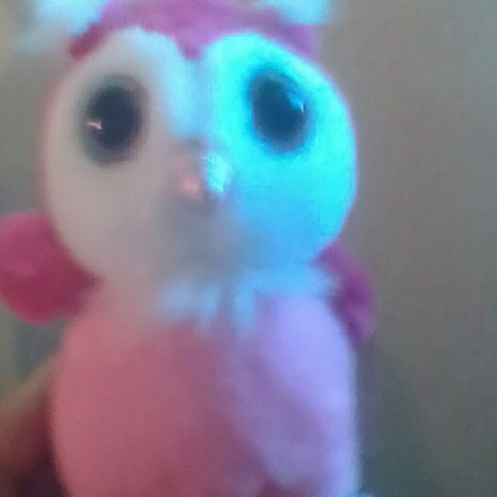 Stuff animal