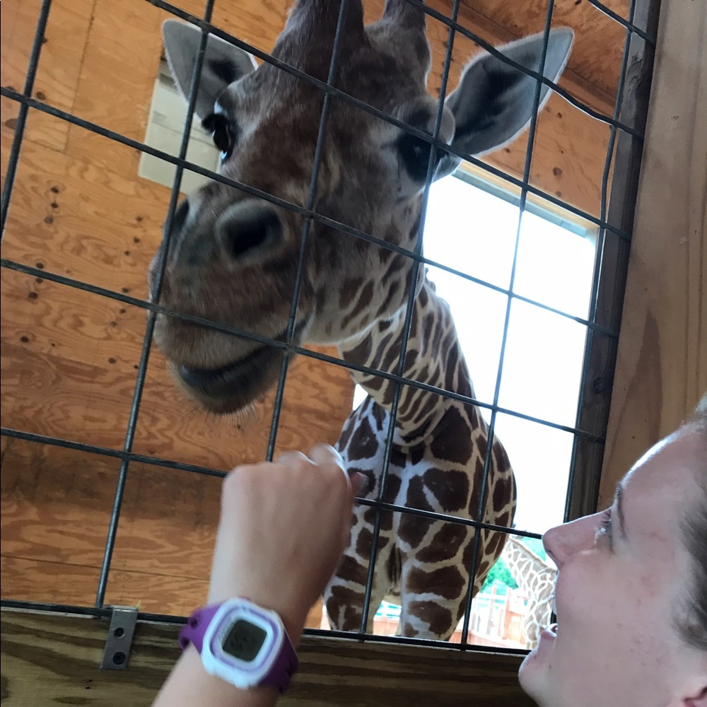 Come back and follow new likes!!! And share! 🤗 - Picture 2 of 3