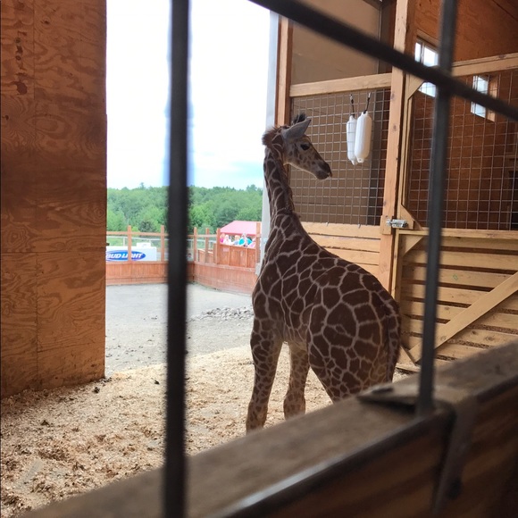 Come back and follow new likes!!! And share! 🤗 - Picture 3 of 3