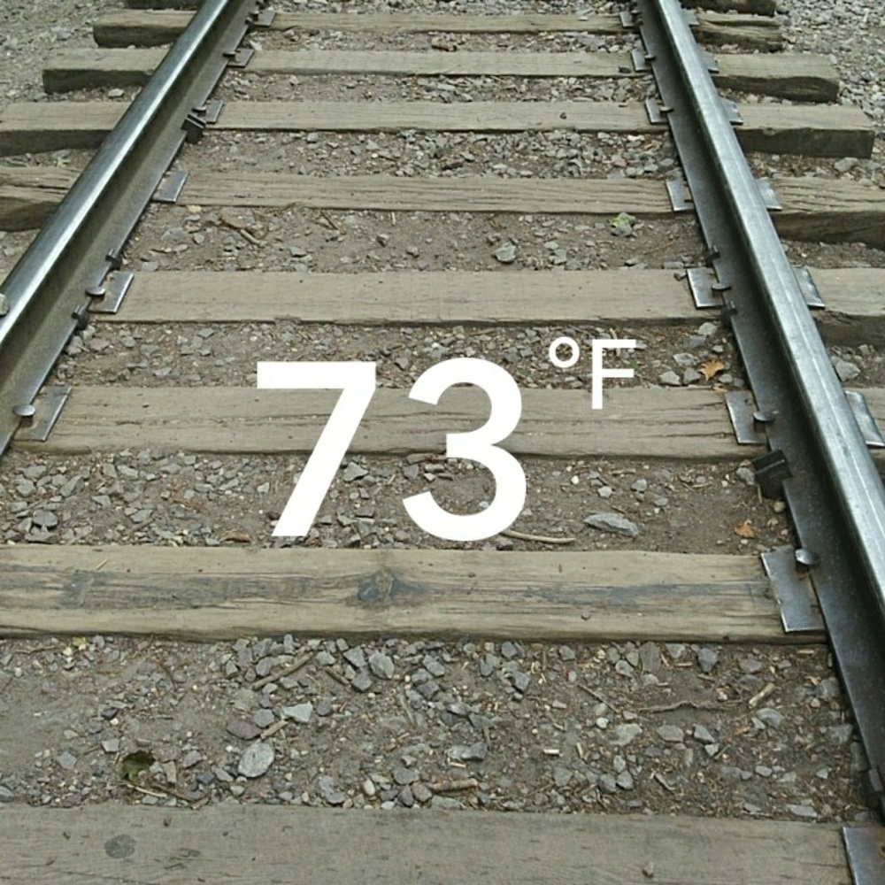 Meet your Posher, Reice