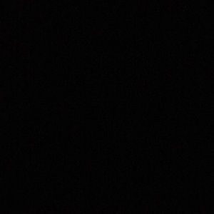 Meet your Posher, Dillon