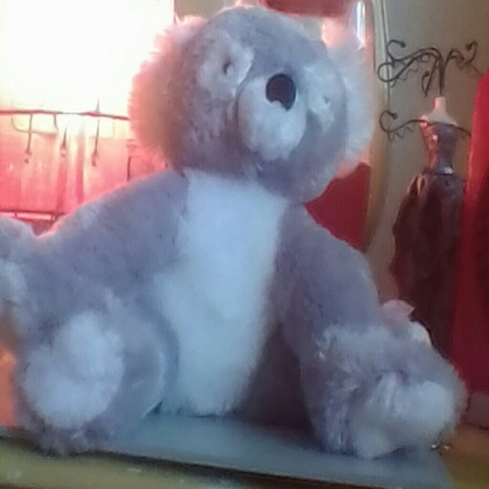 Koala