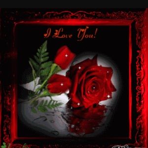 Meet your Posher, Aimee