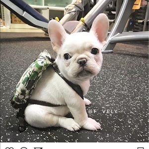 Meet your Posher, Brooke