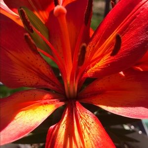 Meet your Posher, Sue