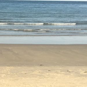 Meet your Posher, Savanah