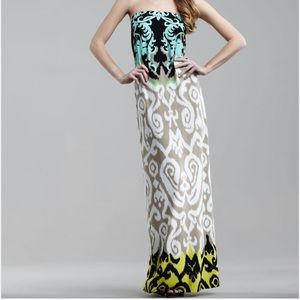 Tibi Strapless Jasmine Print Maxi Dress