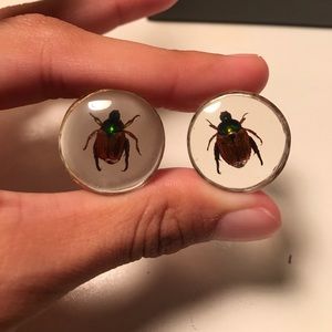 3/4 bug double flared plugs