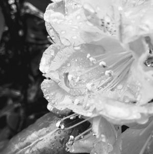 Meet your Posher, Estella