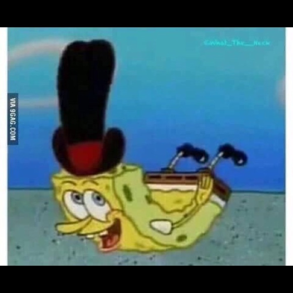 Meet your Posher, Tina